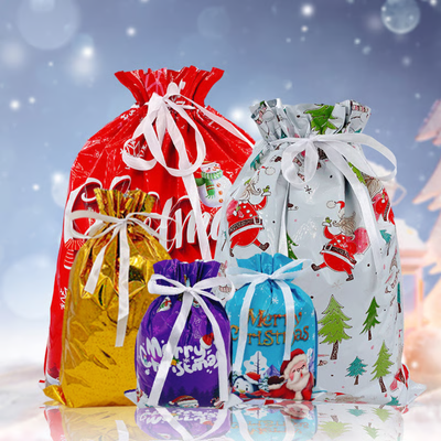 [20PCS] Kringle Express Gift Bag & Tags Set Biodegradable
